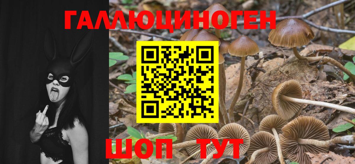 Псилоцибиновые грибы ЛСД Зима